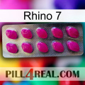 Rhino 7 09